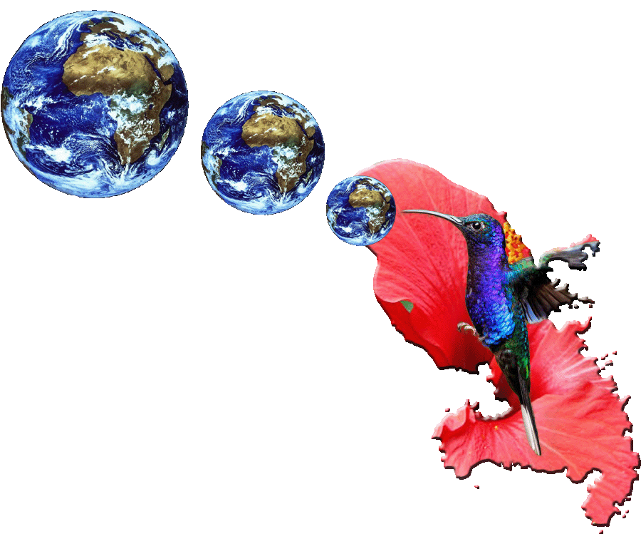 La Martinique à taille mondiale